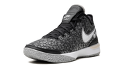 Zoom LeBron NXXT Gen "Black / Wolf Grey" DR8784 005
