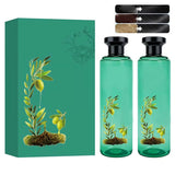Storage & Organization Long-Lasting Botanical Essential Oil Hair Dye