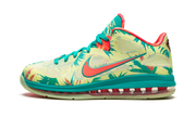 LeBron 9 Low "LeBronald Palmer" DO9355 300