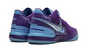 Zoom LeBron NXXT Gen AMPD "Summit Lake Hornets" FJ1566 500