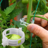 Storage & Organization Plant Support Clips