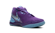 Zoom LeBron NXXT Gen AMPD "Summit Lake Hornets" FJ1566 500