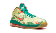 Lebron 9 Low "Arnold Palmer" 338141 836 C
