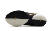 LeBron 22 "Mogul" HV8454 100