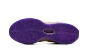 LeBron 21 "Purple Rain" FV2345 500