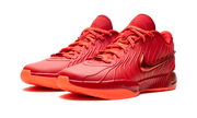LeBron 21 "James Gang" HF5951 600