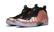 Air Foamposite One "Elemental Rose / Rust Pink" 314996 602