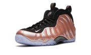 Air Foamposite One "Elemental Rose / Rust Pink" 314996 602