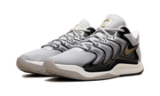 KD 17 "Light Iron Ore / Metallic Gold" FJ9487 003
