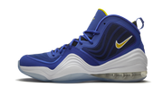 Air Penny 5 "Blue Chips" 537331 402
