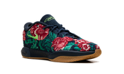 LeBron 21 "Grandma's Couch" FV7276 400