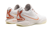 LeBron 21 "Akoya" FV2345 001